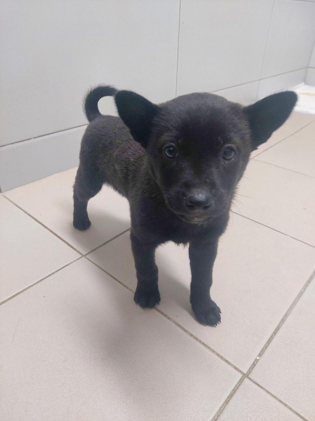 남해군동물보호센터_448543202500205